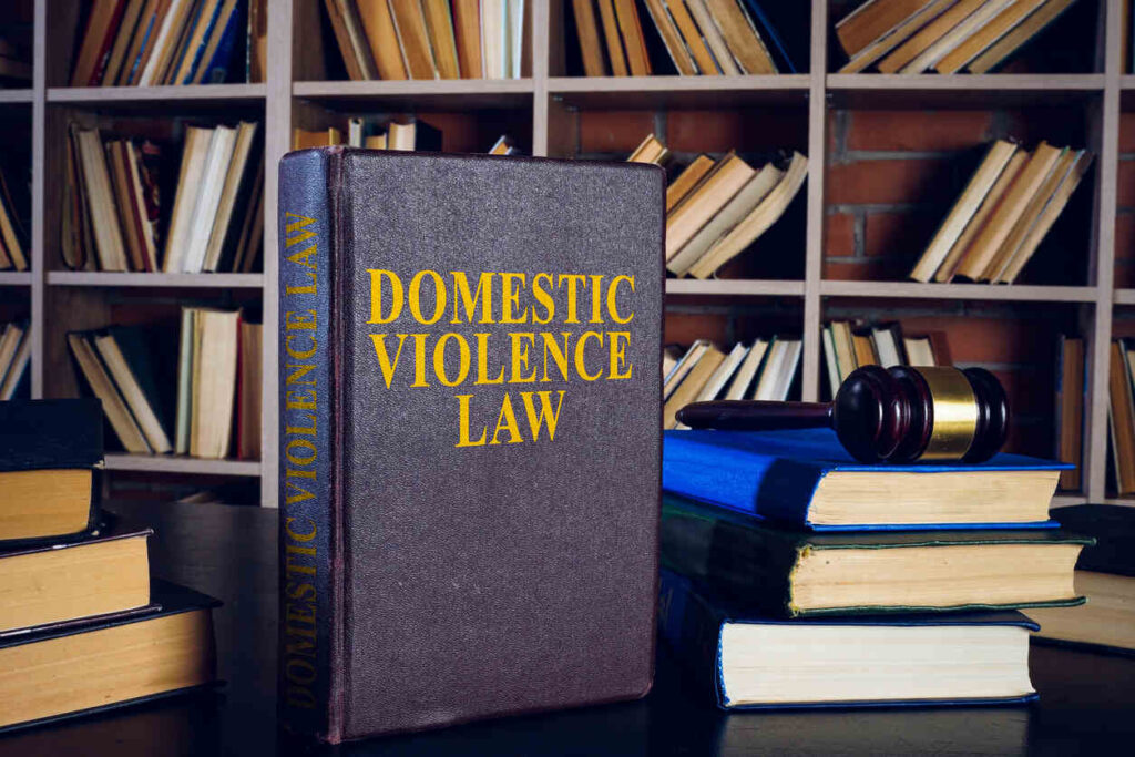 Domestic violence law book on the table